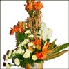 Unique Feelings - Click here to View more details about this Product